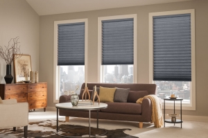 Pleated Blinds: Adding Elegance and Functionality to Your Windows